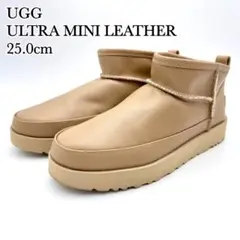 Item thumbnail for item 476ebeaf-d19a-4cbe-810d-f645a476e6c9