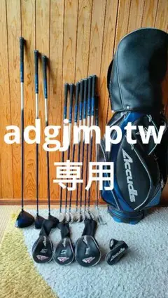 ACCUDIS メンズクラブセット 左利き用 フレックス R