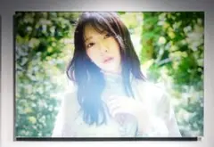 Item thumbnail for item 81b0458a-9a6f-4a34-9e2d-eb0312674d38