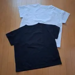 ワークマン　レディース　Tシャツ　LLサイズ　ベージュとブラック