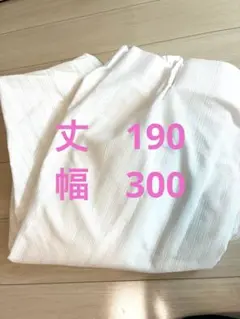 ホワイト ストライプ レースカーテン　1枚　丈190 幅300