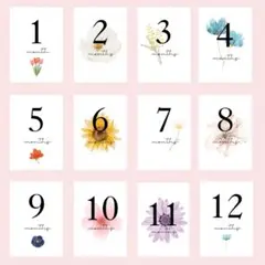 11.マンスリーカード 月齢カード（お花 flower シンプル)