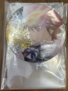 家庭教師ヒットマンREBORN! 彩光キラキラカンバッジコレクション 沢田綱吉
