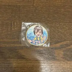 デジモン　デジモンアドベンチャー　八神ヒカリ　記念メダル