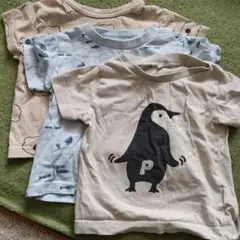 西松屋Tシャツ 3枚セット80cm