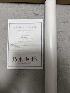 乃木坂46 13thバスラ　非売品ポスター