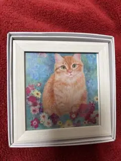 猫画　　額縁入りポストカード