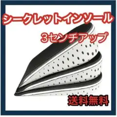 シークレットインソール ハーフ 3cm 身長アップ レディース メンズ 中敷き