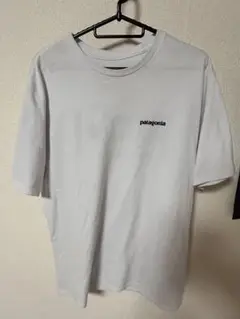 パタゴニア　tシャツ