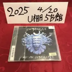 Shpongle Are you Shpongled? アナログレコード　未開封 Amazon.co.jp: ARE YOU SHPONGLED?: ミュージック