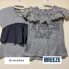 BREEZE ./ branshes