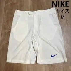 NIKE ナイキ ゴルフ ハーフパンツ サイズ L