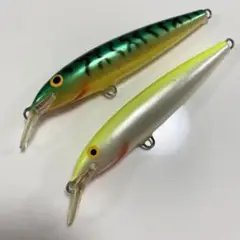 RAPALA ラパラ フローティングマグナム11㎝ (2個セット)