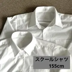 Item thumbnail for item 73cf616b-b1d0-433e-bf04-d72f721b9c18