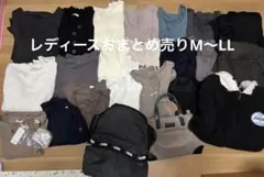 Item thumbnail for item 8a73d90e-9bd5-47e6-b770-4e3036c3ae4f