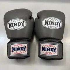 WINDY キックボクシング　14オンスグローブ