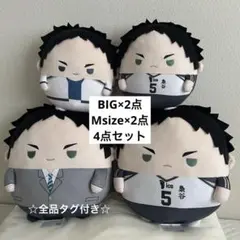 ハイキュー！！ 赤葦京治 ふわコロりん 4点セット
