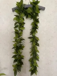マイレレイ 約180cm