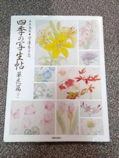 守屋多々志、ノメンターナ街道、希少な額装用画集より、美品、新品額装付 2025年最新】Yahoo!オークション -守屋多々志(絵画)の中古品
