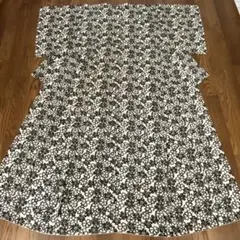 Item thumbnail for item 92ace5f6-eba9-46cb-a02c-eefd1cf20b9f