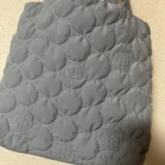 ロペピクニック ドラえもんコラボバック