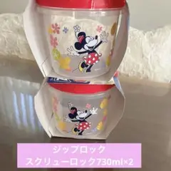 Item thumbnail for item 625c21cf-9dbd-486d-9162-ecbdd375f59a