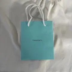 Item thumbnail for item bdc96d24-4393-48f5-8a67-9954e00bb0df