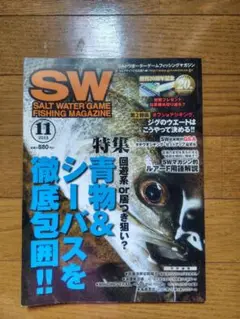 SW 2013年11月号 釣り シーバス