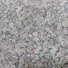 リバティ　チャイブ20GR　タナローン