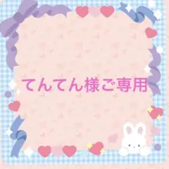 ロイヤルカナン ヘアボールケア 12個