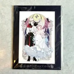 花メテ フェイバリットポートレート B