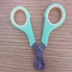 Item thumbnail for item ee00ccfd-258d-4815-9240-82f809cf09ab