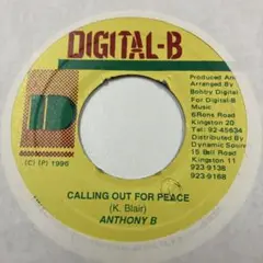 ANTHONY B CALLING OUT FOR PEACE レゲエ ７インチ