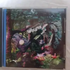 UNDULATION　アンジュレーション　井上艦　全12曲収録