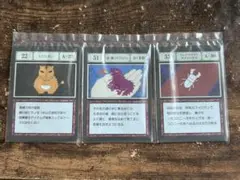 HUNTER × HUNTER 指定ポケットカード 未開封
