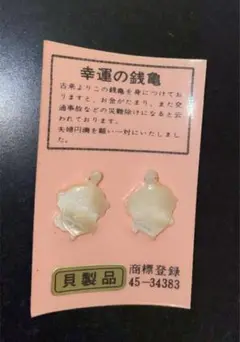 お守り 幸運の銭亀 貝製品