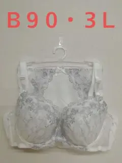 3色セット割あり B90 3L ブラジャー&ショーツセット ホワイト フルバック