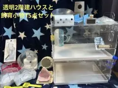 Item thumbnail for item c0e66ad2-5102-4811-a73c-91f254111de0