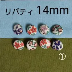 Item thumbnail for item 010046b9-599a-492c-aa70-e56b0b0d0fca