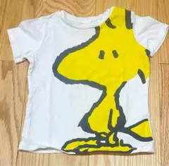 Rさま