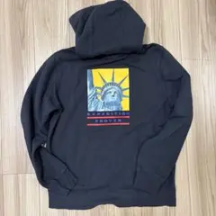 Supreme/North Face Statue of Liberty