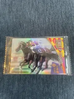 サラブレッドホースコレクション　スイープトウショウ
