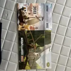 Item thumbnail for item 10822a75-2374-43d8-af4f-744448217bad