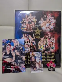 【非売品】レア4点セット STARDOM 5★STAR GP 2025