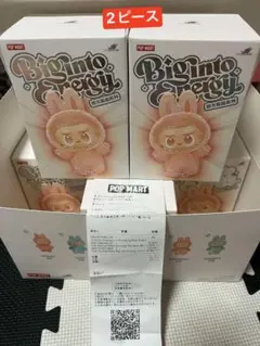 【正規品・未開封】Labubu Big into Energy 2箱