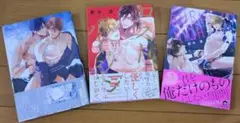 那木渡3冊セット 恋愛不行き届き ロストバージン バーレスクナイト