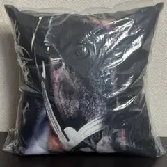 サンデーサイレンス　クッション