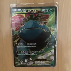 フシギバナEX SR XY1 コレクションX 061/060