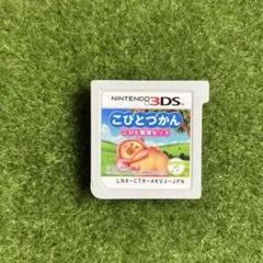 こびとづかん こびと観察セット