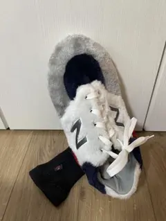 Item thumbnail for item 0c436263-34b3-4d7e-9d16-4d311d7660b3